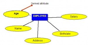 صورة توضيحية من الكتاب: Blue rectangle with the word EMPLOYEE, and connected by a line to five different yellow ovals with the words: Age, Name, Address, Birthdate, Salary.