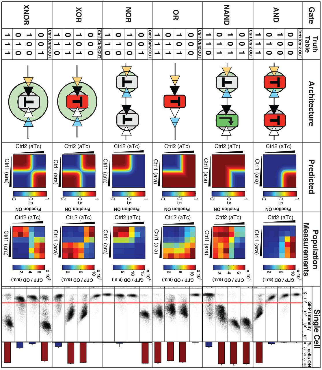أداء البوابات المنطقية القائمة على الحمض النووي. الشكل مأخوذ من ورقة Bonnet et al، Science، 2013.