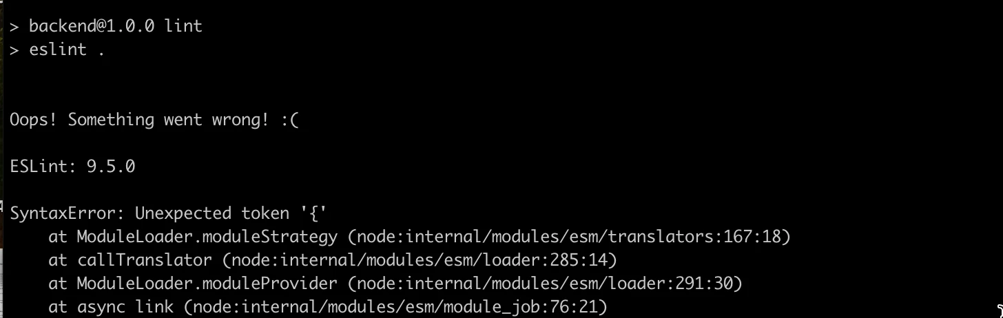 مخرجات الطرفية من npm run lint